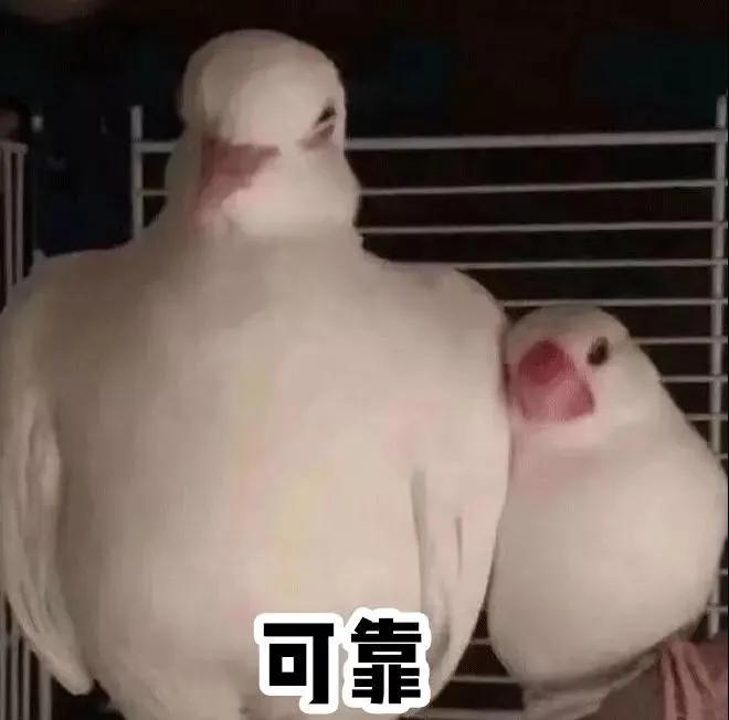 女生必须知道的7件事,女生必须知道的3件事