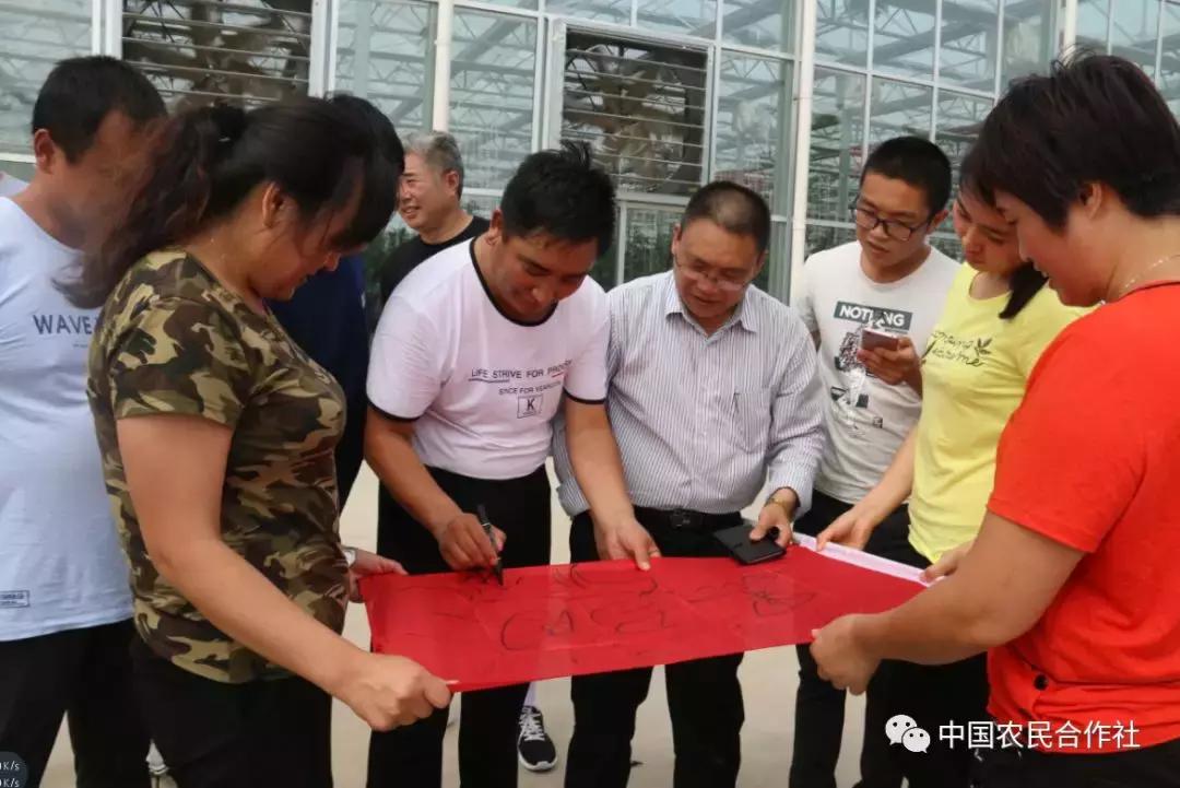 2019年中国农民丰收节系列“十大”征集推选活动入围名单出炉吴云波理事长榜上有名