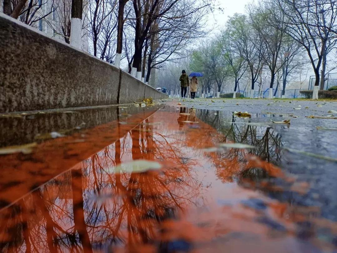 沈阳化工大学辽宁省排名,沈阳化工大学2020招生计划辽宁省