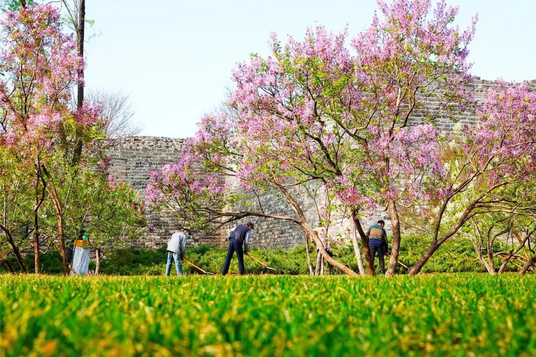 四月发生的事,东城发生的事