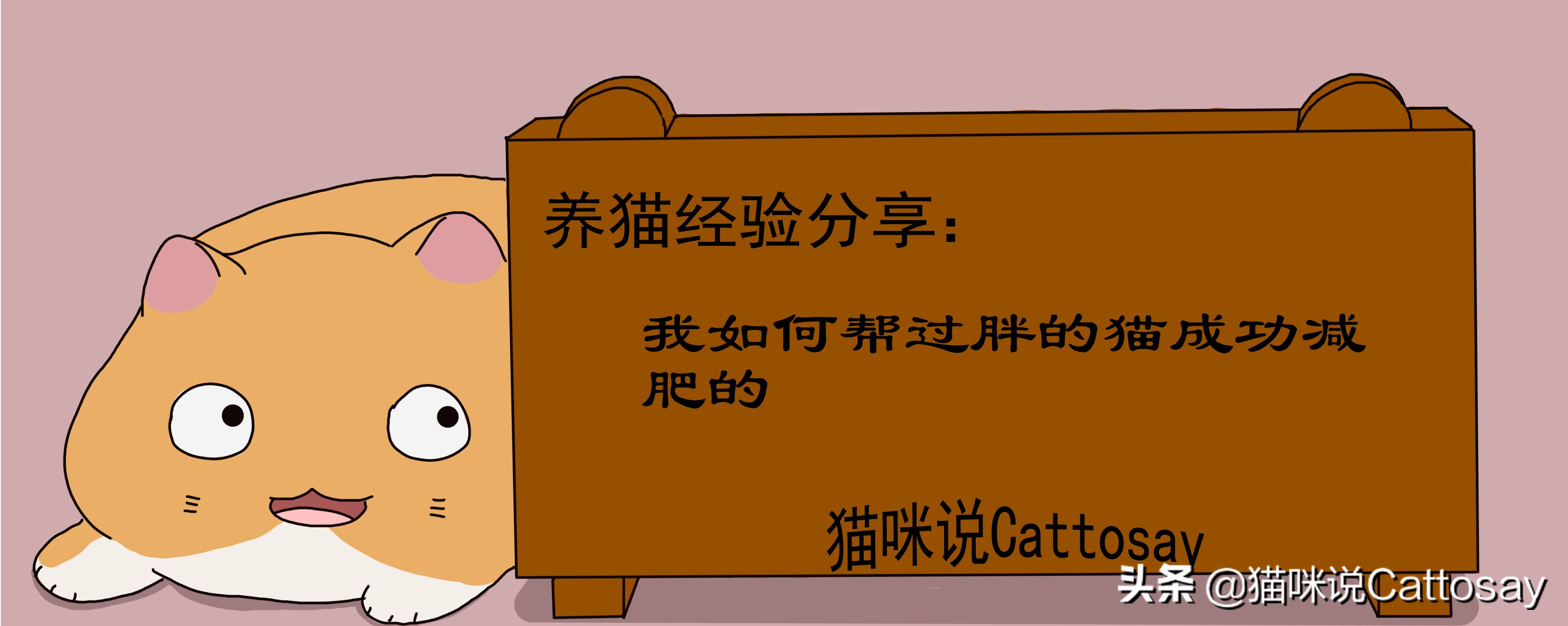 猫咪很瘦怎么办如何帮助猫咪减肥,猫太胖了怎么办该怎么给猫咪减肥