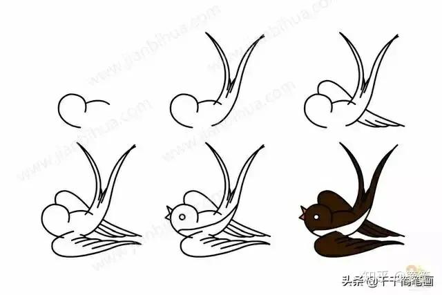 小动物的简笔画怎么画最简单的,画小动物的简笔画教程视频