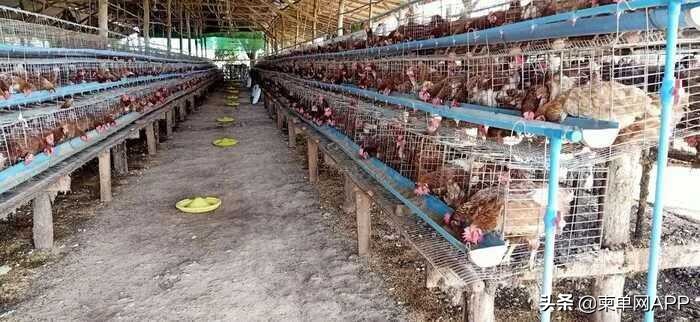 中国人在柬埔寨月入过万,柬埔寨人一般收入靠什么