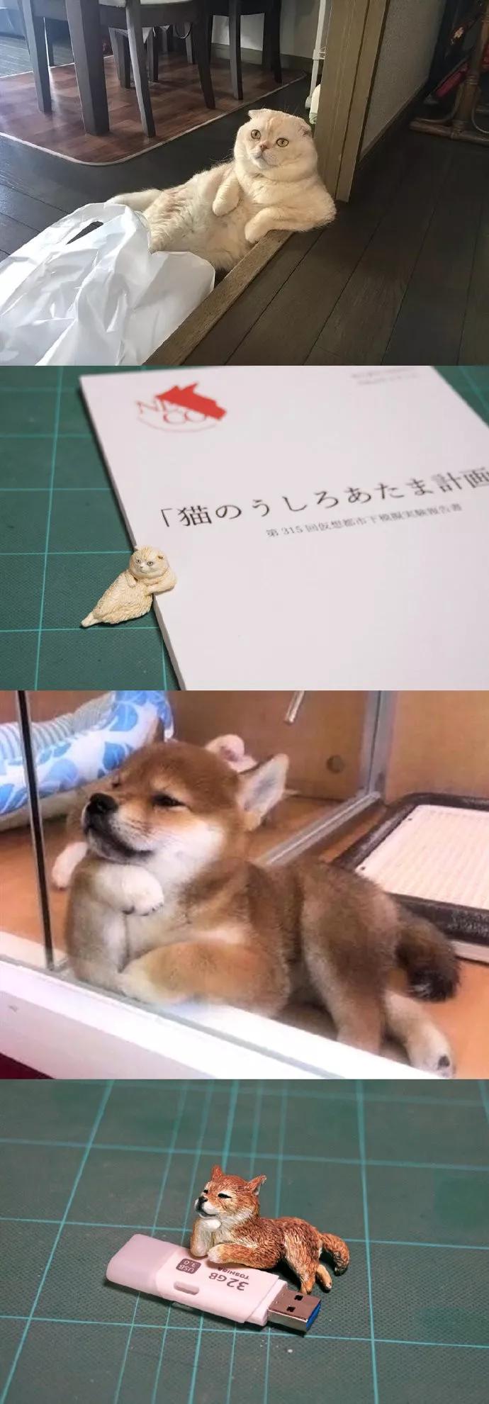 动物表情包沙雕魔性,沙雕动物爆笑瞬间表情包