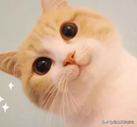 昆山天虹购物中心设有超市吗,昆山天虹购物中心什么时候建的