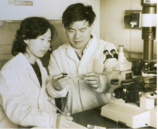 东方神草中华瑰宝,中国神草纪录片