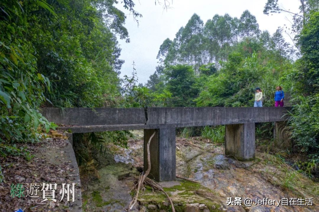 拍贺州｜莲塘镇大山深处的“一号基地”