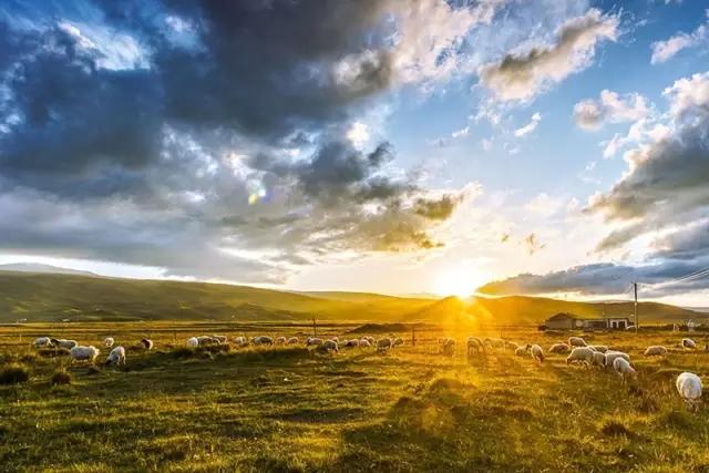 在公路旁随手一拍都是美景,中国有一条公路每一公里都是美景