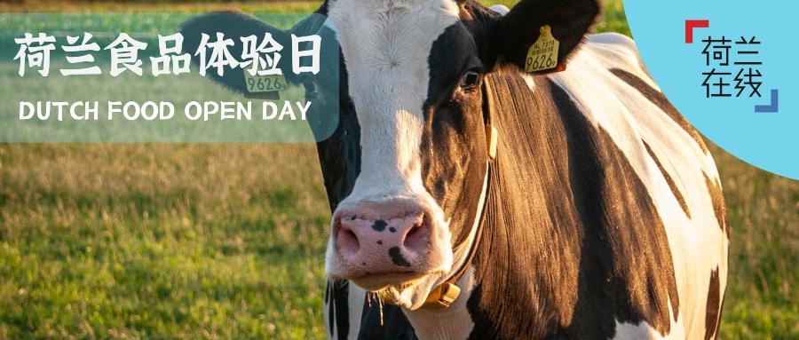 荷兰的食物有哪些,荷兰食物营养表