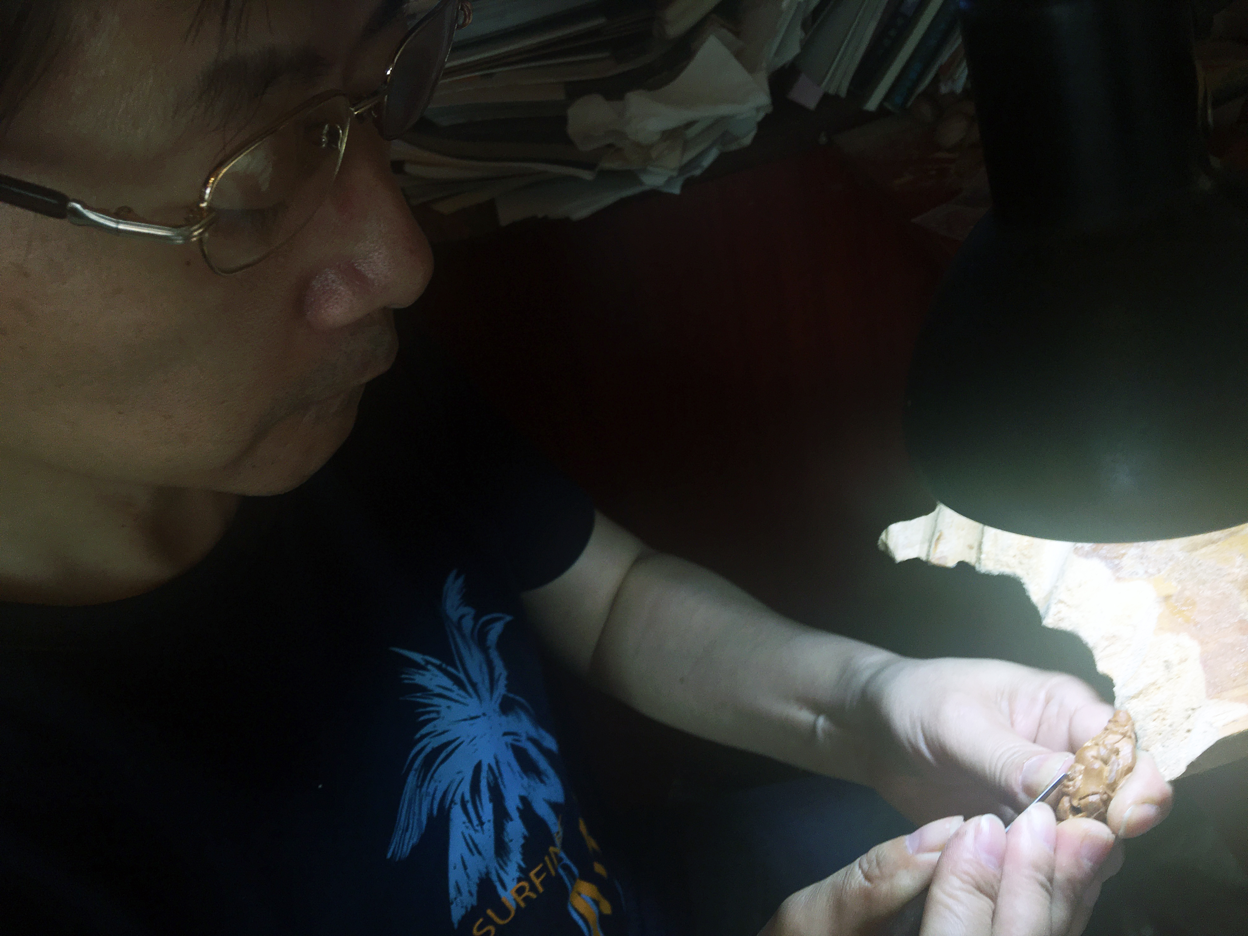 周春林：净心守护，指尖下的艺术