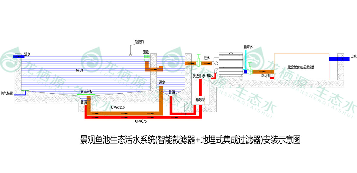锦鲤鱼池过滤系统推荐,锦鲤鱼池过滤系统的施工过程