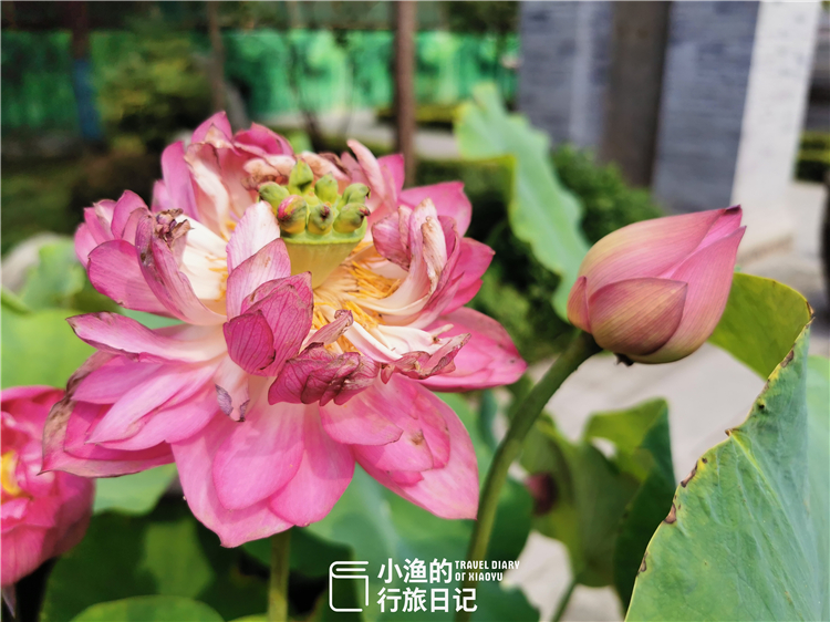 西安最好的网红打卡地,西安离小寨近的网红打卡地景点