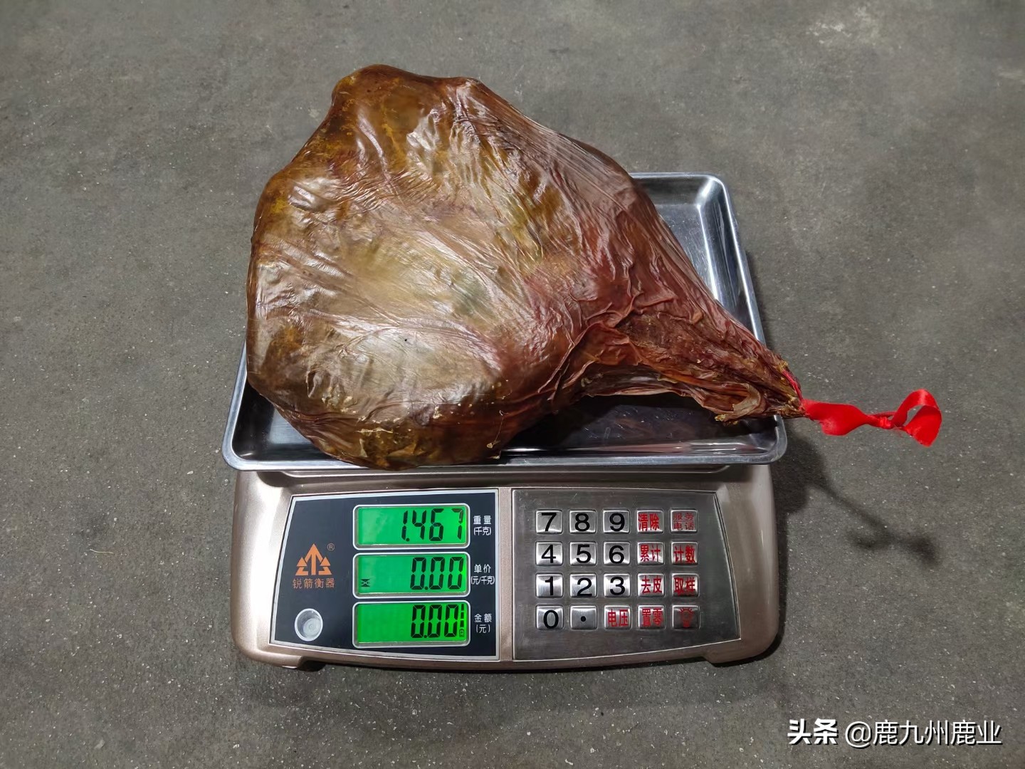 鹿九州鹿业：鹿胎是什么？鹿胎粉的正确吃法