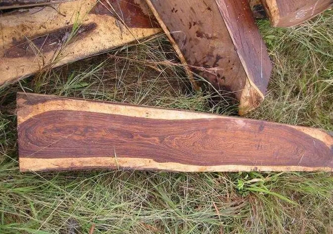 非洲酸枝只是一种实木，不属于红木！大家不要再被骗了！