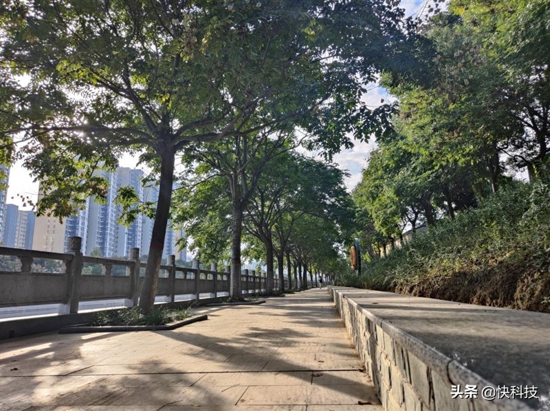 一加9rt是高端直屏手机吗,一加9高端机安卓机皇