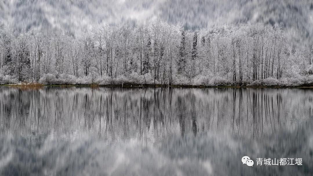 无雪不成冬,都江堰玩雪一日游