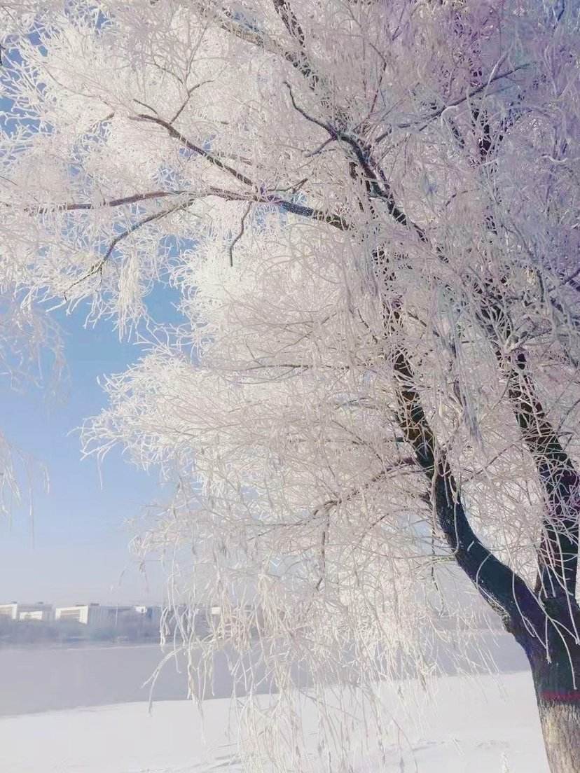 自然之美陶冶人的心灵,用心去感受自然之美