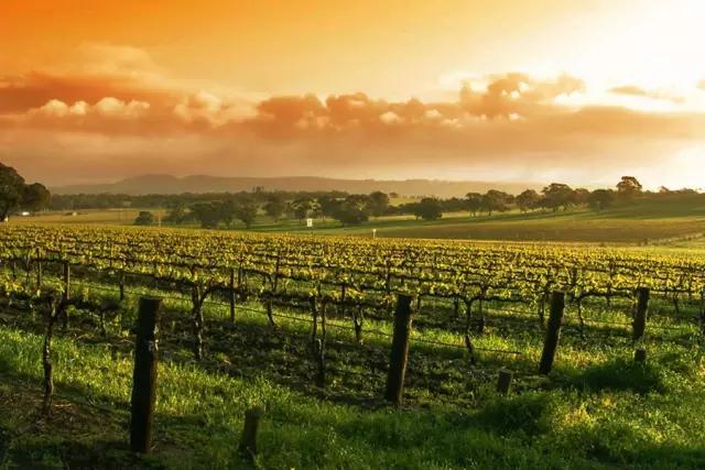 世界十大最具潜力葡萄酒旅游产区,世界最美的红酒产区
