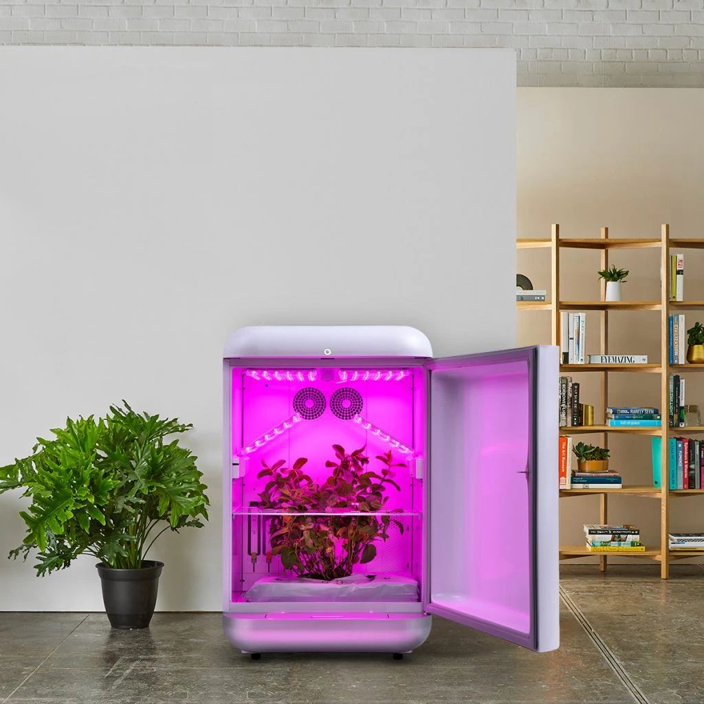 养花常用技巧和方法有哪些,怎么样才能掌握养花的技巧