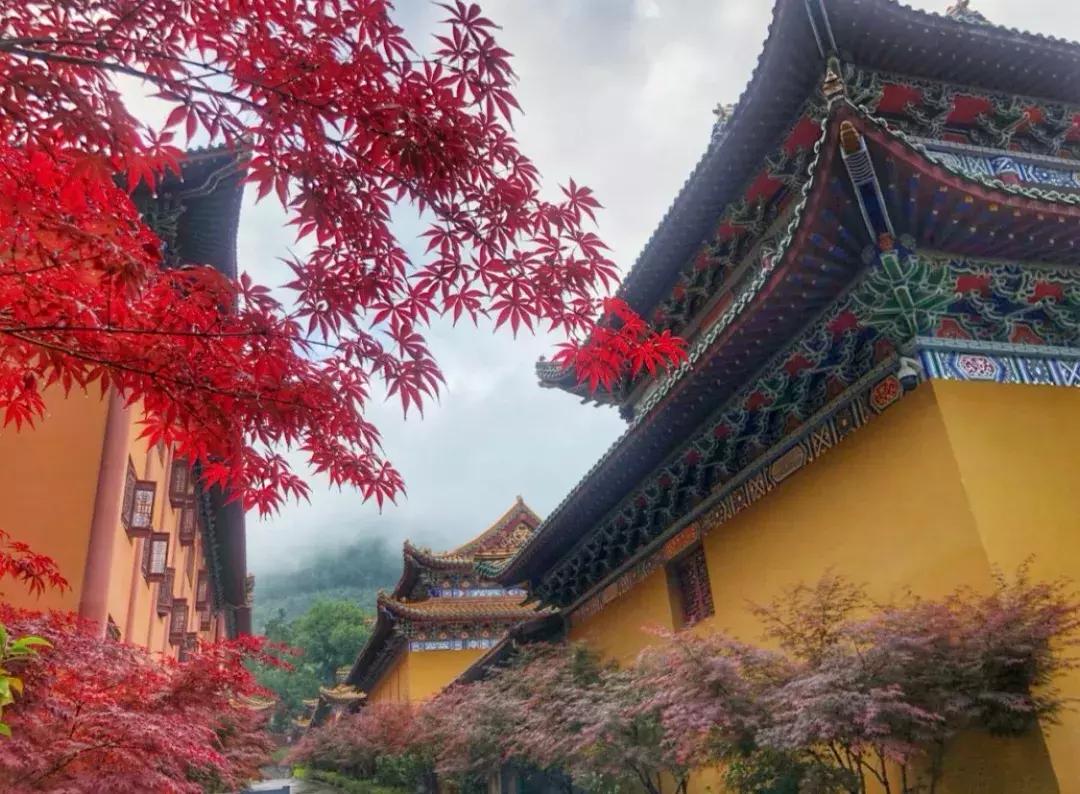 佛了！魔都周边9座「禁欲系寺院」，美到想出家！