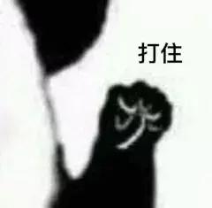 皮卡丘人类世界,皮卡丘是在这个世界上真的存在吗