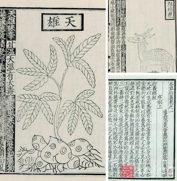 他本是一个民间医师，因治宋高宗隐疾成为*官高**，秦桧都要巴结他