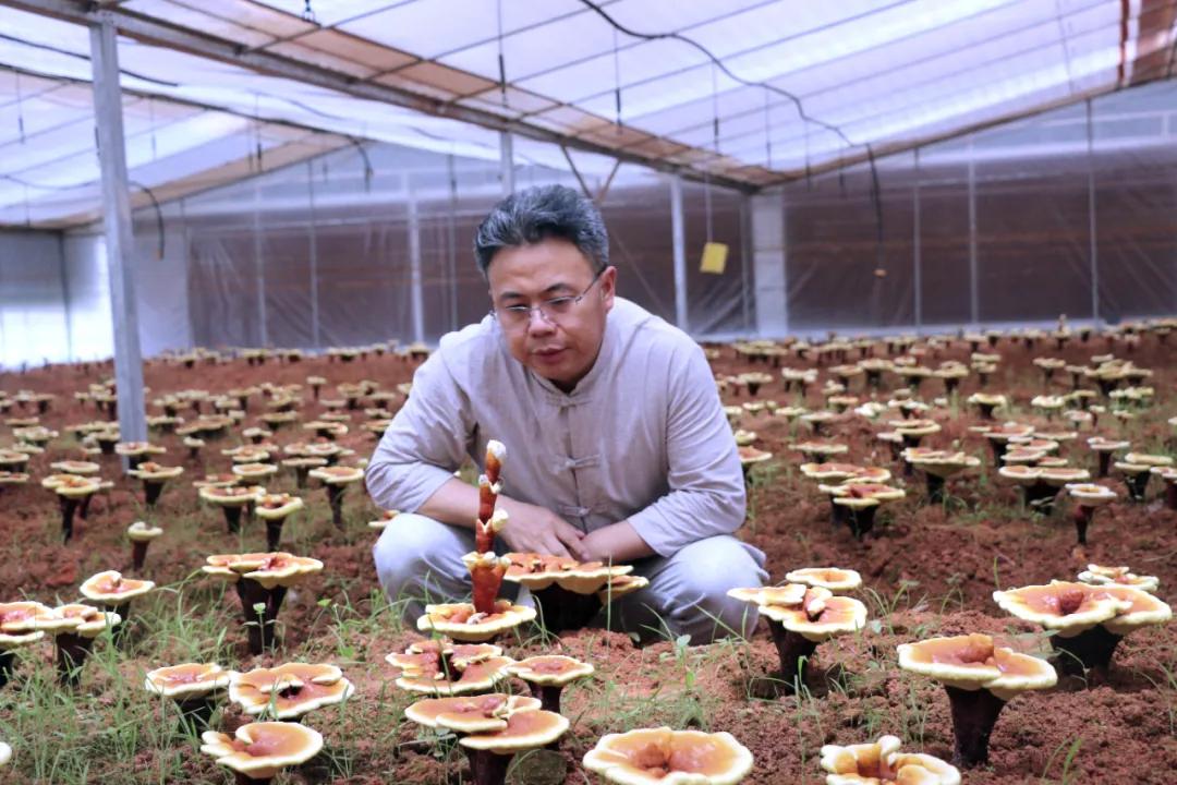 「赣商风采」许松勤：大山之子的时代梦