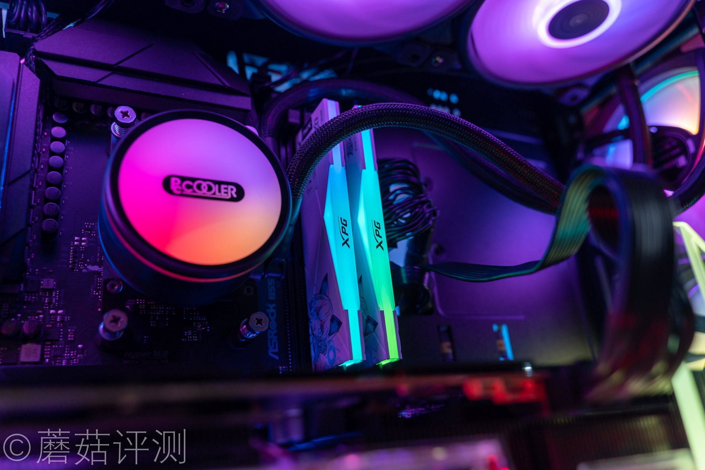 威刚龙耀d50吹雪联名用的什么颗粒,龙耀d50吹雪和普通版有什么区别