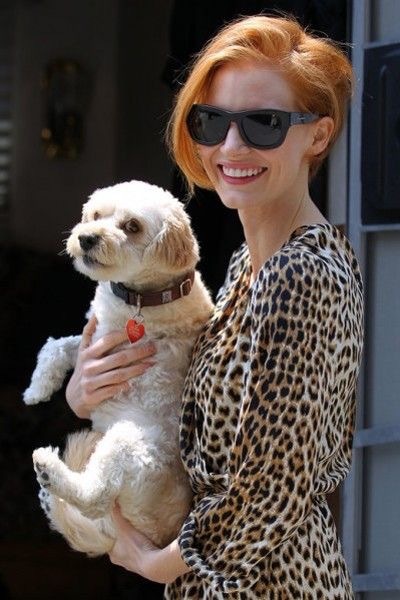 你可以没有爱情但不可以没有面包,可以没有爱情不能没有口红和香水