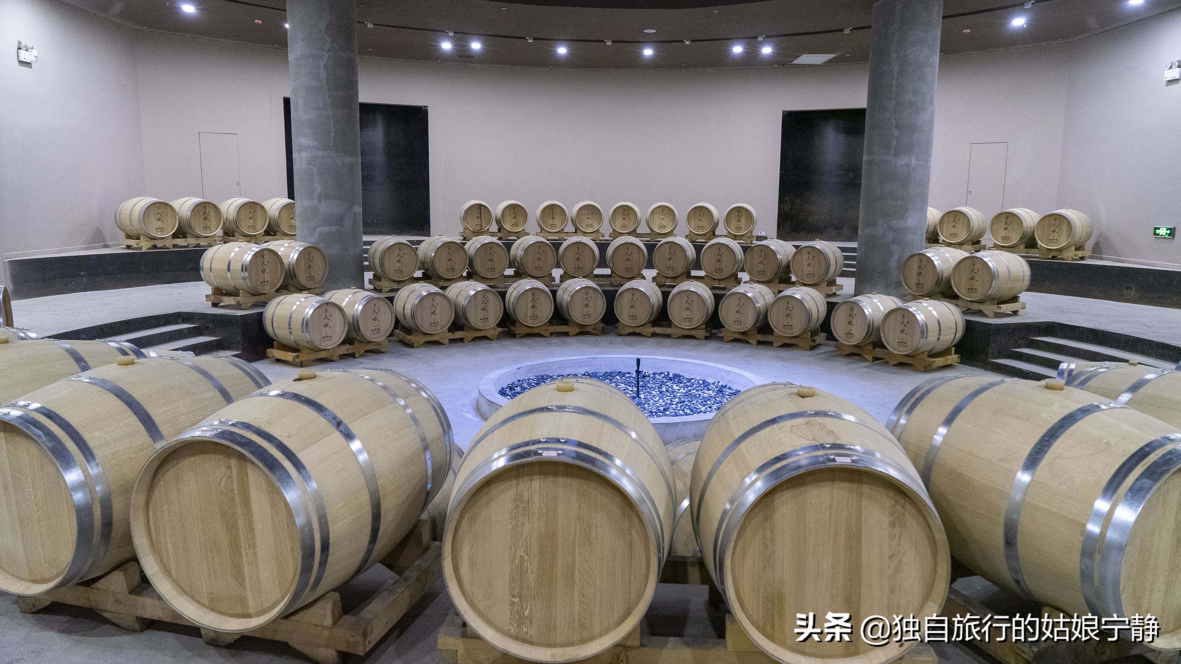 宁夏50大星级葡萄酒品牌酒庄排名,宁夏贺兰山东麓最佳葡萄酒排名