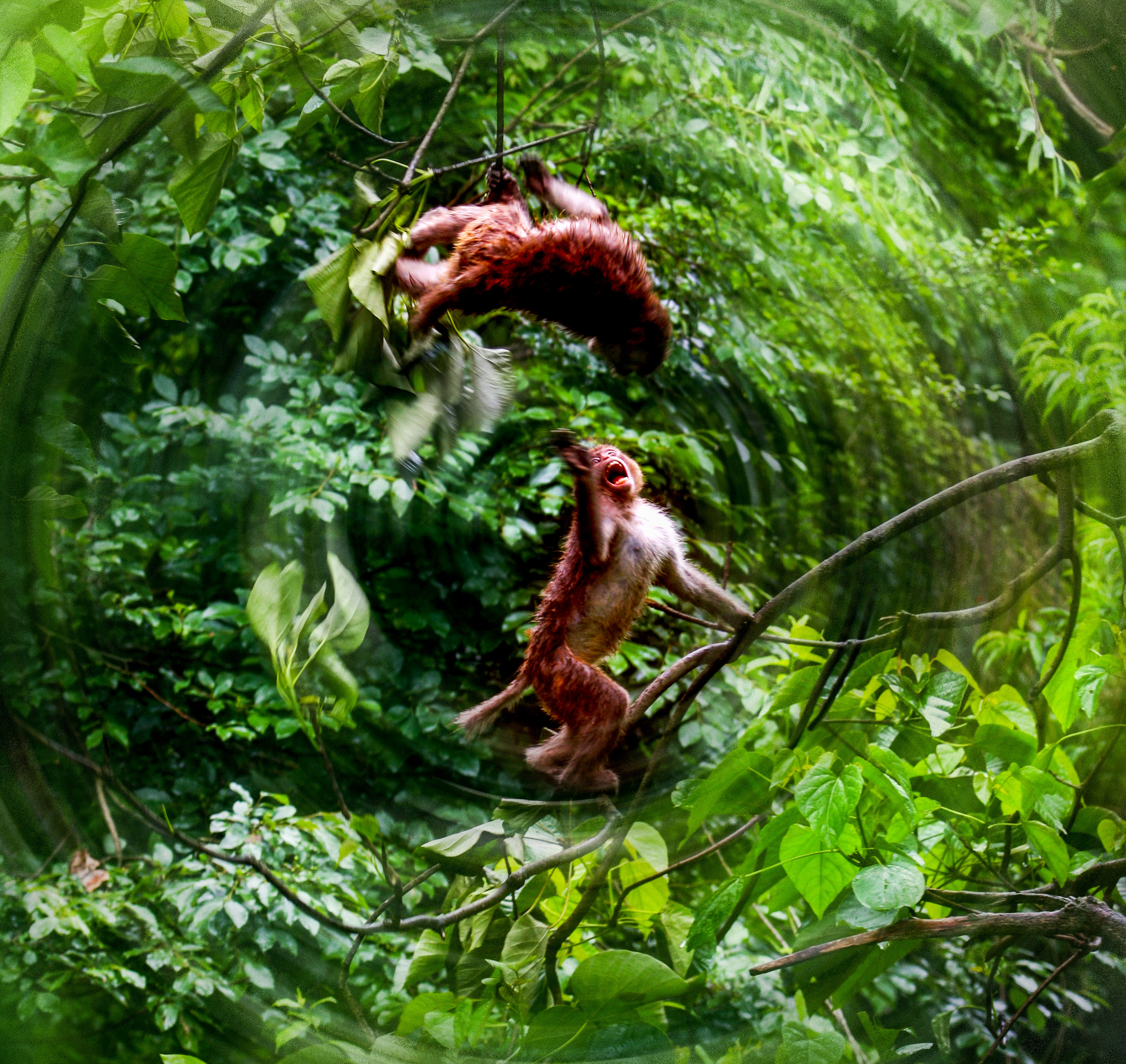 天堂纳木错完整版,天堂圣湖