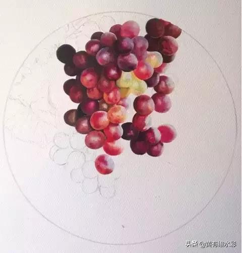 晶莹剔透的葡萄,水彩葡萄图片