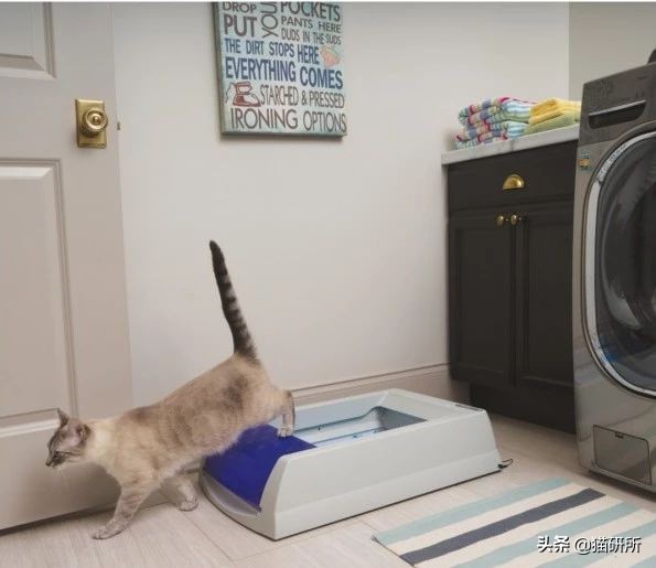 猫砂盆买什么样的最好,猫砂盆选什么的最合适