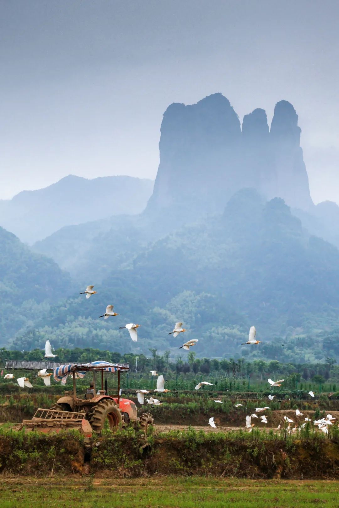 浙江的西南角，竟然藏着一片“大好江山”？