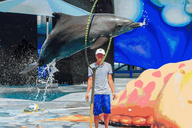 开年特惠仅需89.9元，畅游小梅沙海洋世界门票，,快抢啊!