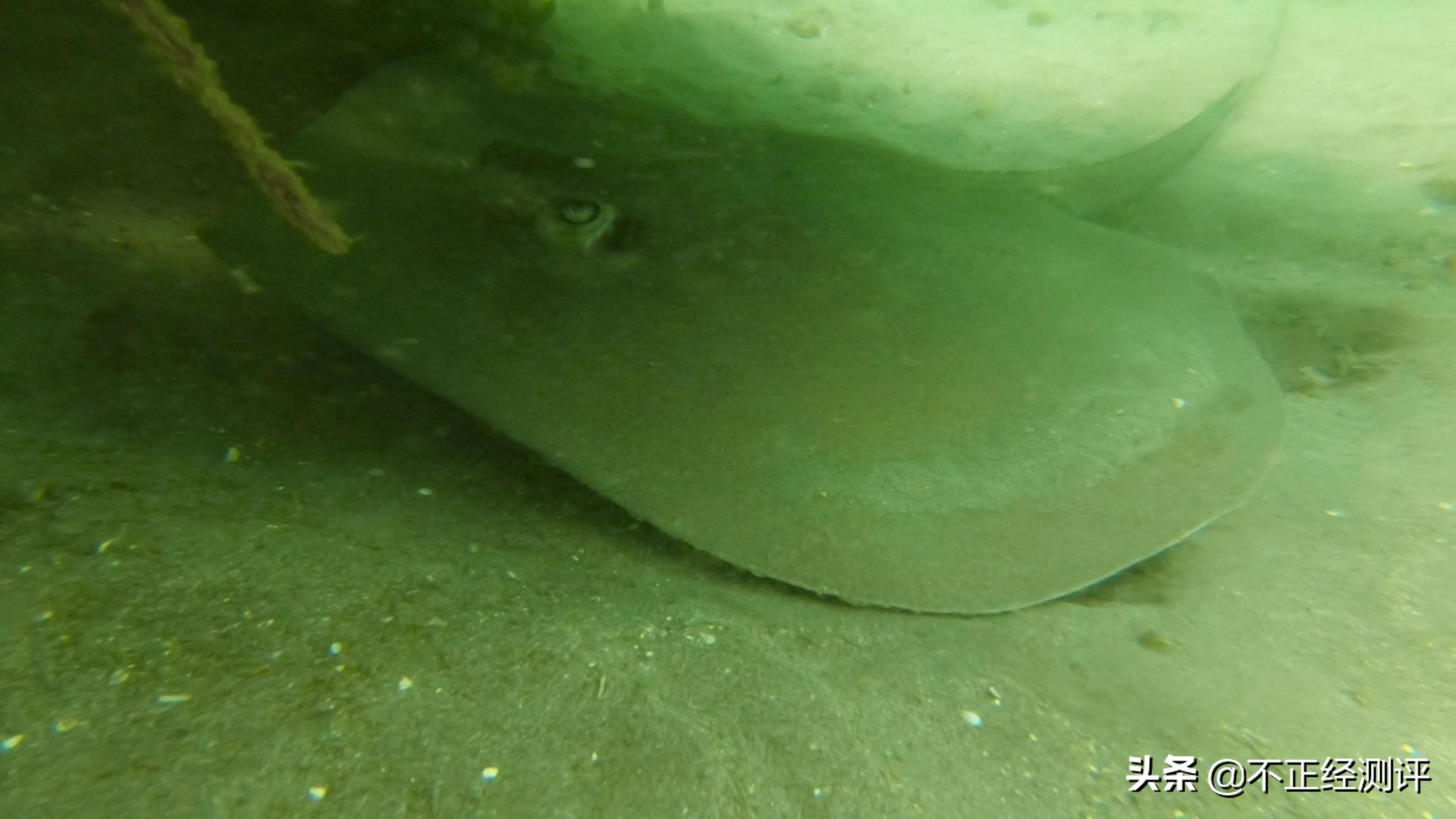 巴厘岛旅游攻略自由行攻略,巴厘岛的自由行旅游攻略