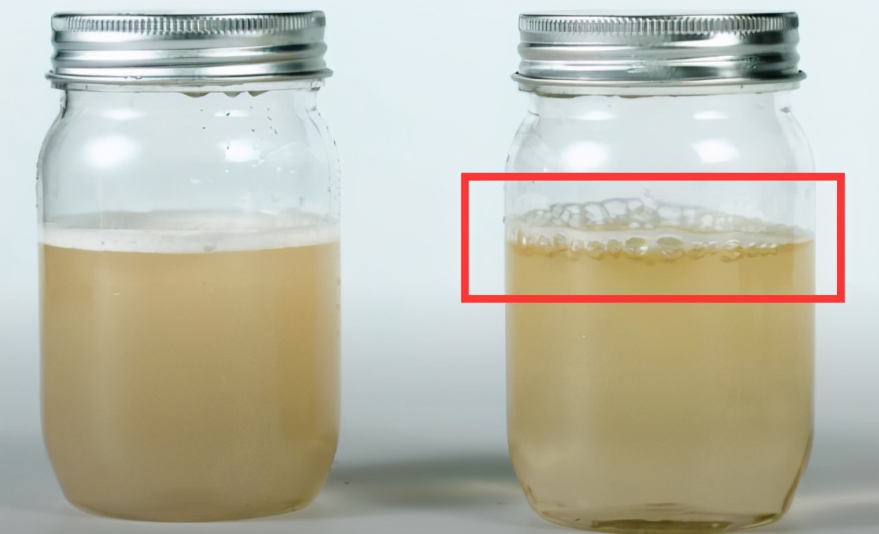 蜂蜜怎么鉴别真假蜜蜂,蜂农从蜂巢里取出来的蜂蜜会假吗