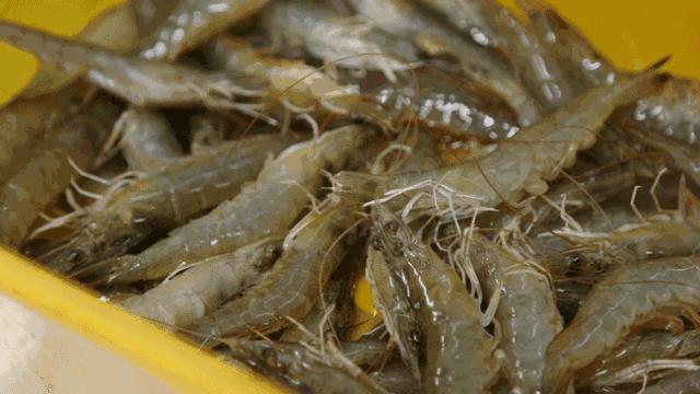 菜市场这4种虾千万不要买,在超市买活虾能不能挑