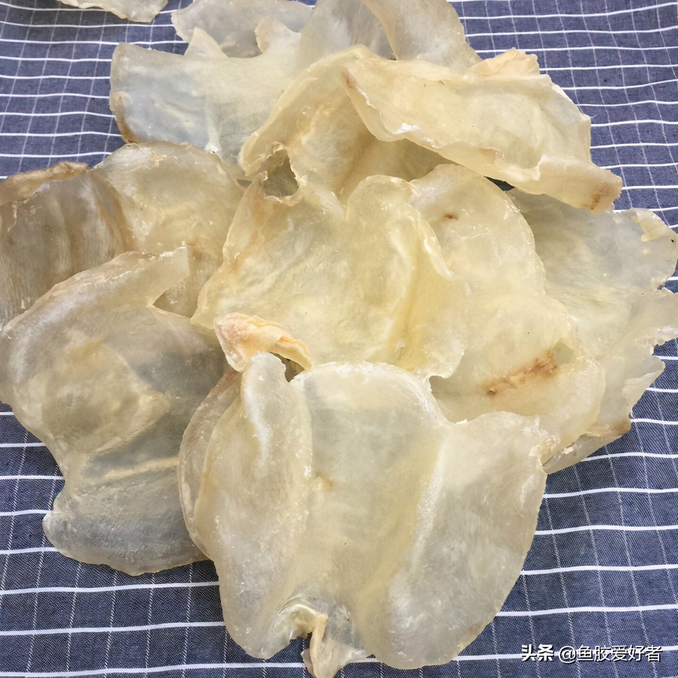 鱼胶正确的泡发方法和做法,鱼胶的做法和功效大全
