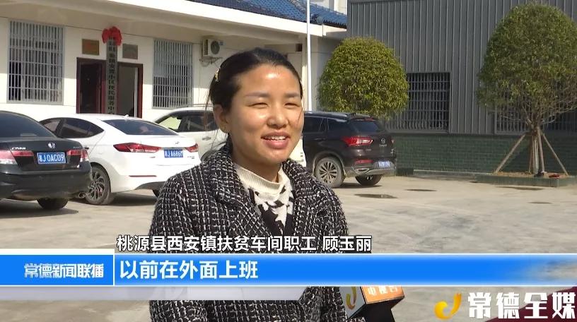 桃源西安镇有黄桃，有锥栗，还有扶贫车间，老百姓安居乐业