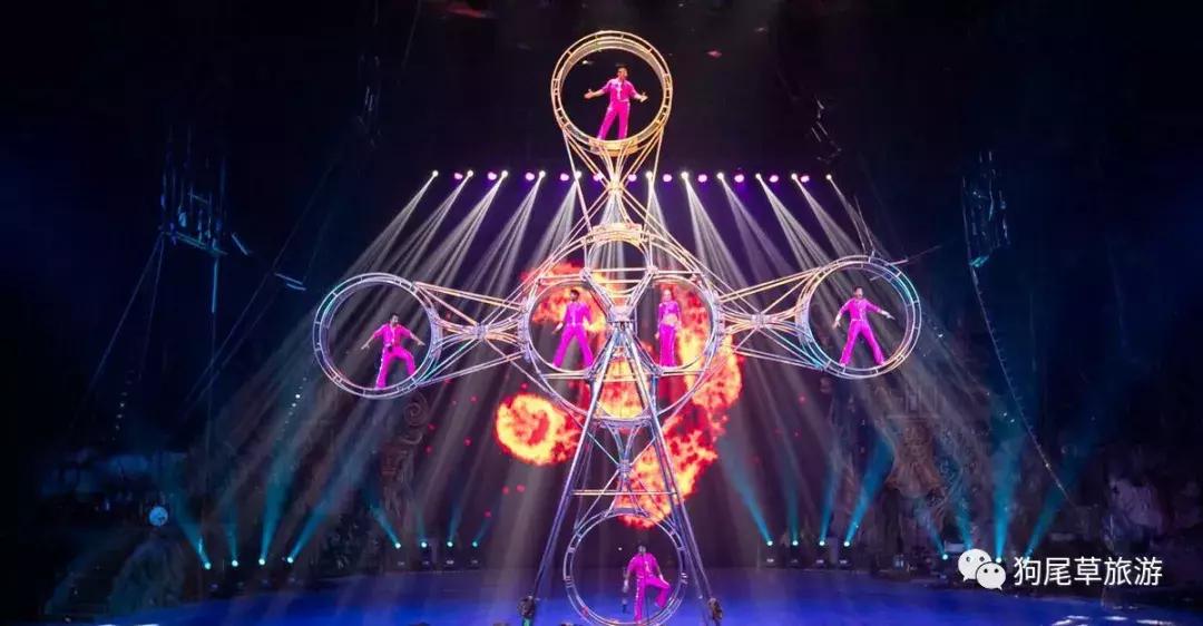 广州长隆旅游攻略野生动物园,广州长隆野生动物世界旅游攻略