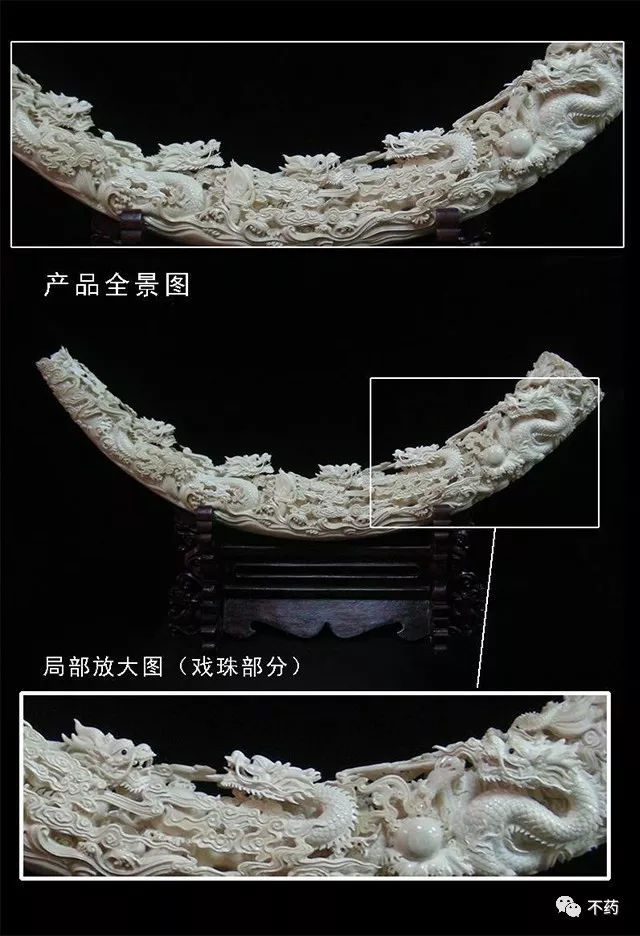 猛犸象牙为什么有这么多,猛犸象的象牙为什么不能丢