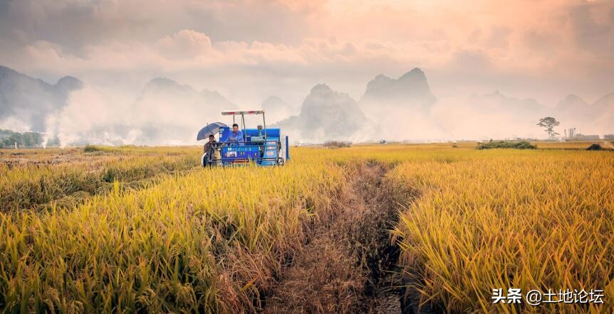 以后农民不种地吃啥,农民种地的出路在哪里
