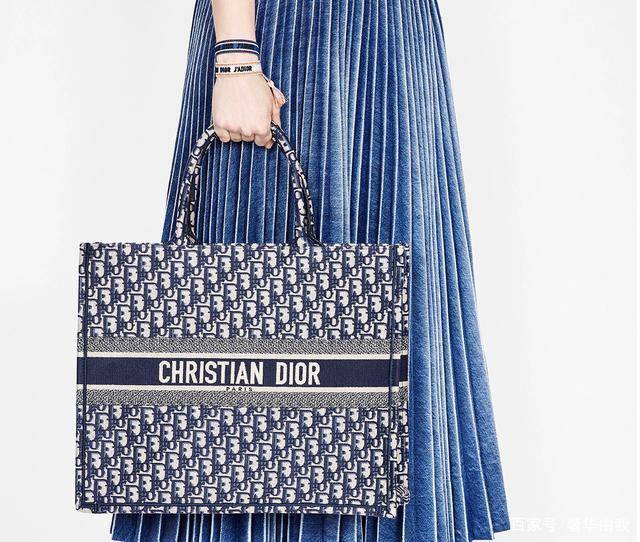 顾佳用奢侈品包包挤不进贵妇圈，纽约市民却用包把狗狗带上了地铁