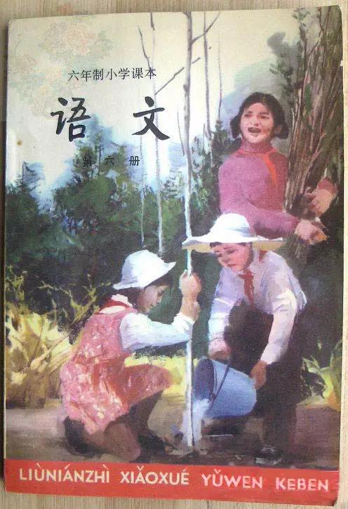 8090的童年回忆语文课本,8090后小学语文课本大全