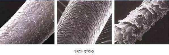 别做高价发膜了！这款“零”差评的国货精油，让你头发“活”起来