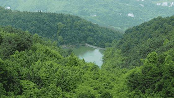 一家四口倾家荡产在山里造房隐居：3年零收入，坚持不通车