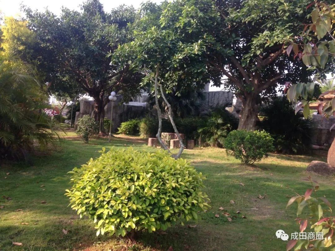 成田文体公园国庆,成田镇文体公园