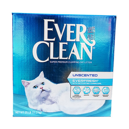 黑色猫配什么样的猫好看,猫选什么样的厕所