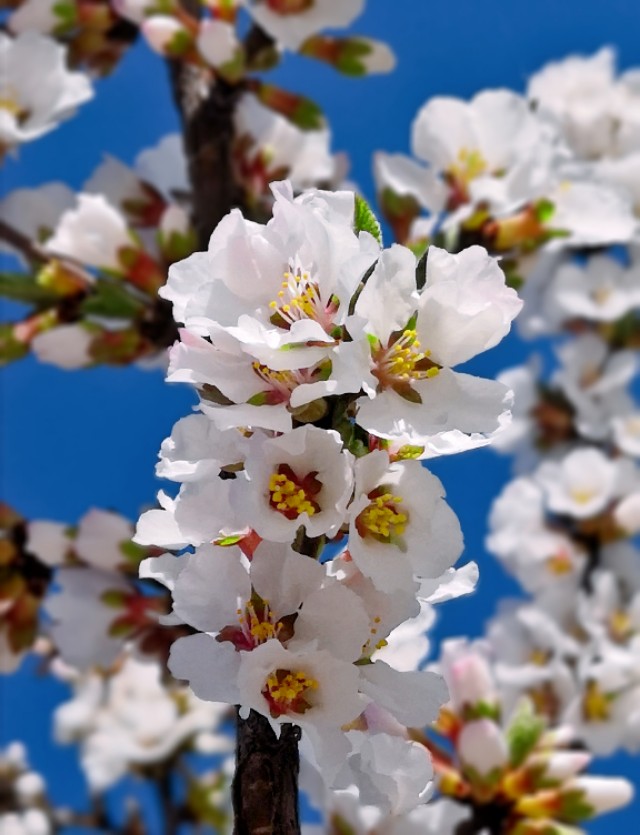 璇楃ぞ閲囬娲诲姩,浼楀垱璇楃ぞ涓冨緥
